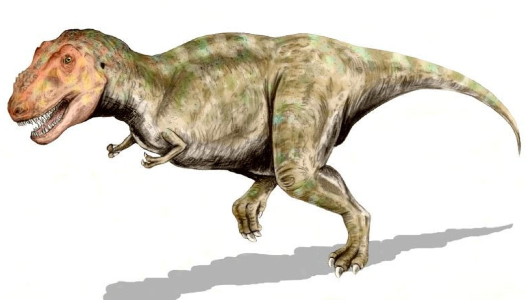 Tyrannosaurus rex er en av artene som er påvist i Alaska. Tyrannosaurus rex er en av artene som er påvist i Alaska.