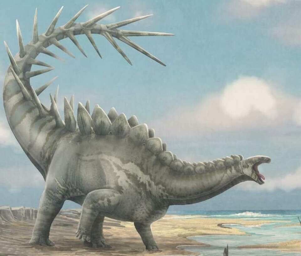 Slik ser en kunstner for seg den digre dinosauren.