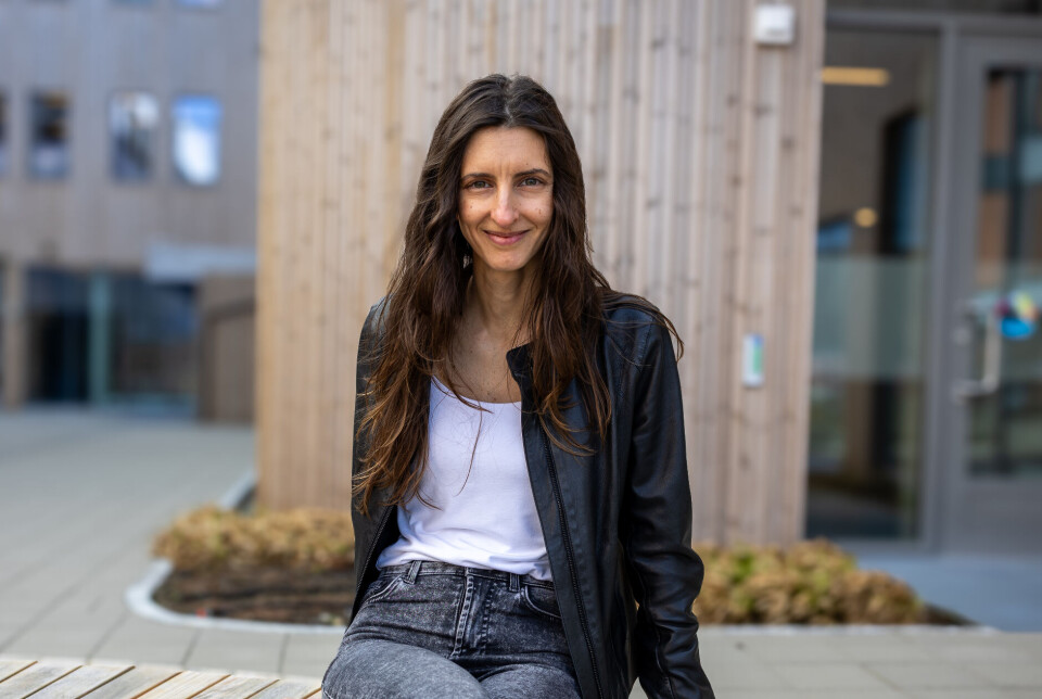 Maria Kourkouli koordinerer prosjektet fra Bodø.