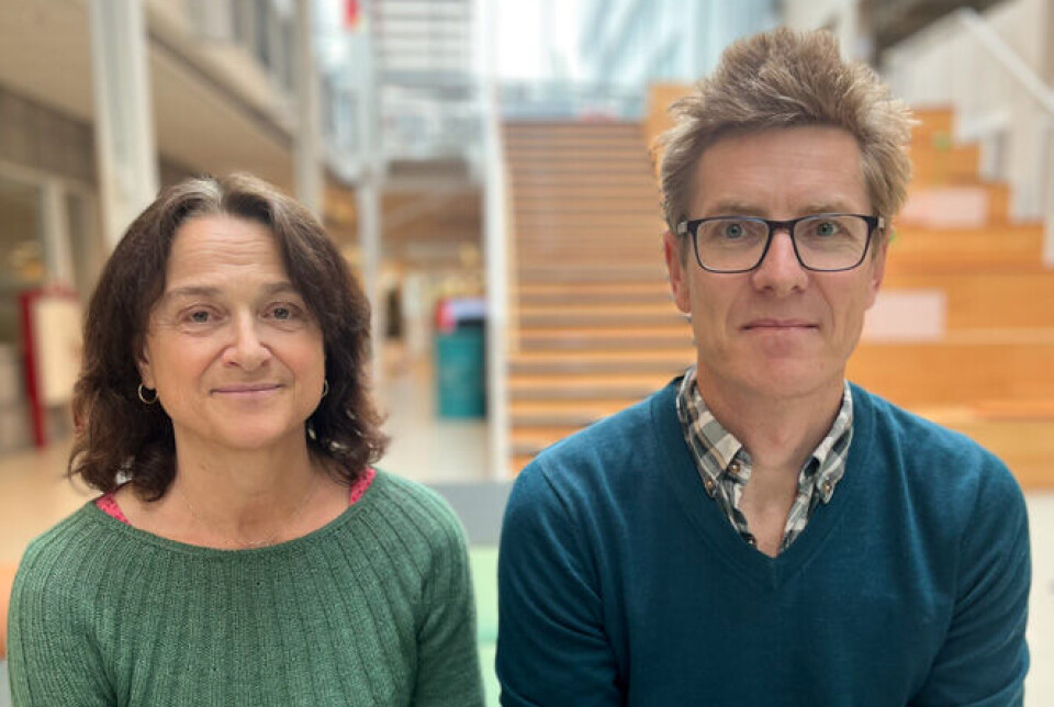 Psykolog Francis Vergunst ved Institutt for spesialpedagogikk og forskningsleder Kristin Aunan fra CICERO mener vi trenger langt større investeringer i helsetjenester enn i dag for å møte klimaendringene.