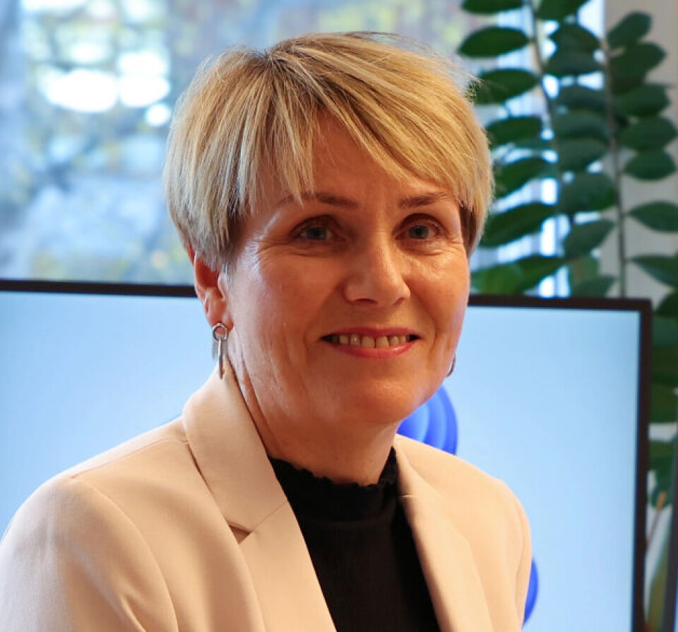 Professor Siv M. Gamlem har sammen med Brandmo sett på 96 studier fra ulike deler av verden.