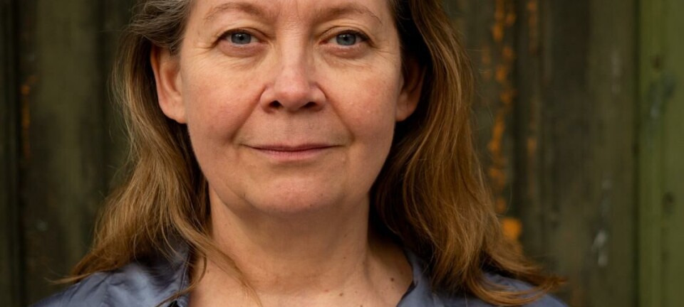– Straff er ikke nok for å stoppe volden
