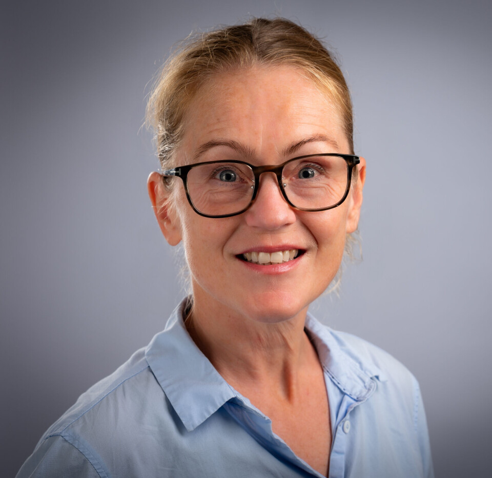 Marthe Indset er forsker ved By- og regioninstituttet NIBR ved OsloMet, og leder for OsloMet-prosjektet (EcoGaps).