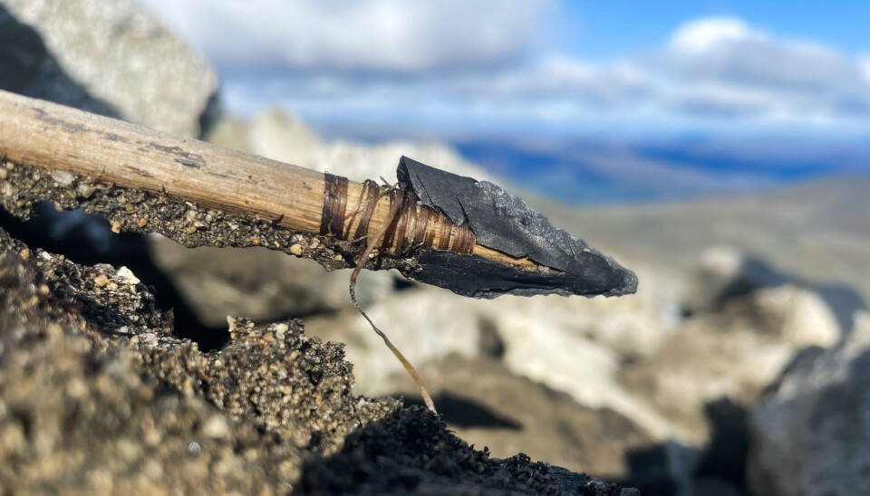 En svært godt bevart 3000 år gammel pil med steinspiss.