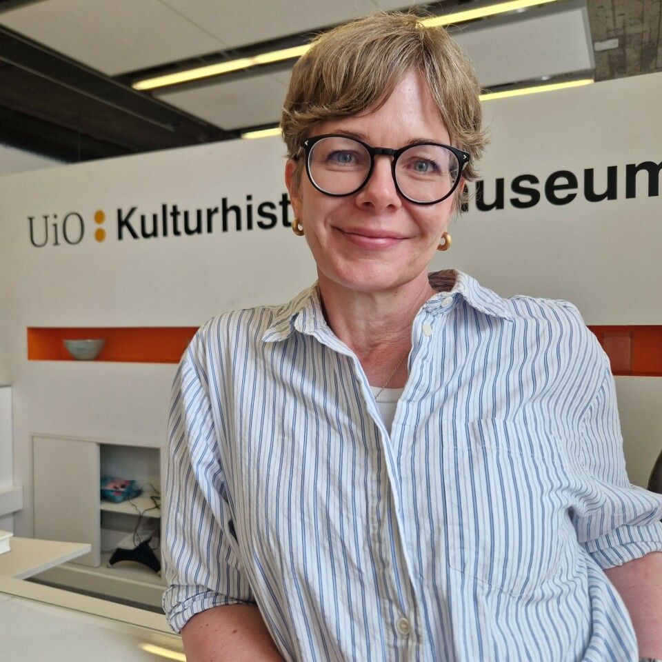 Hanne Lovise Aannestad er arkeolog og magasinforvalter på Kulturhistorisk museum ved Universitetet i Oslo. Portrett.