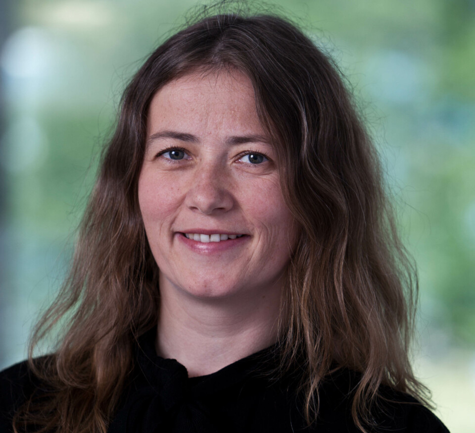 Seniorforsker Sabine Eckhardt.