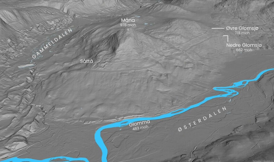 Skog og kratt er «ryddet vekk» på dette laserbildet, som viser to strandlinjer fra bredemte sjøer mot slutten av siste istid. Lokaliteten er ved Såttå øst for Tynset.