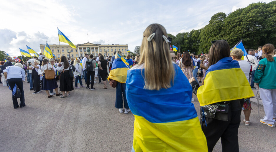 Ukrainere skal raskt i arbeid, men møter flere barrierer