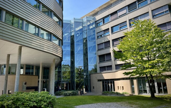 Her er psykologer blitt utdannet i årevis en terapiform det ikke finnes studier på
