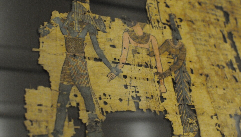 Tegning med farger er bevart på et av papyrus-arkene. Egyptisk tegning med farger.
