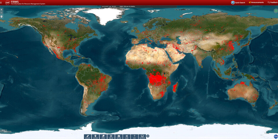 NASAs FIRMS-nettside (Fire Information for Resource Management Systems) viser et kart over branner over hele verden, med mulighet for å velge forskjellige tidsperioder. Bildet viser de siste 24 timene, klokken 10.30 den 18. juni 2025.