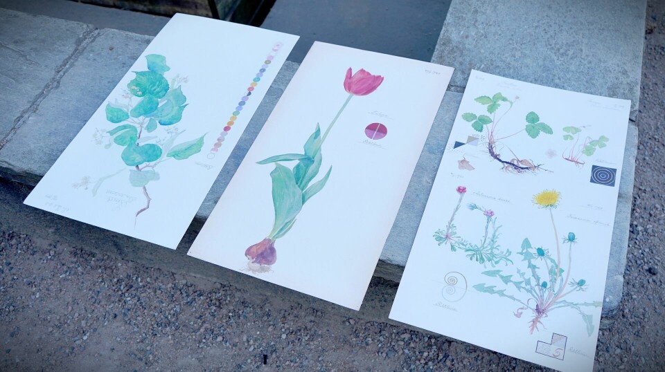 Plansjer fra boken Hilma af Klint: What Stands Behind the Flowers.