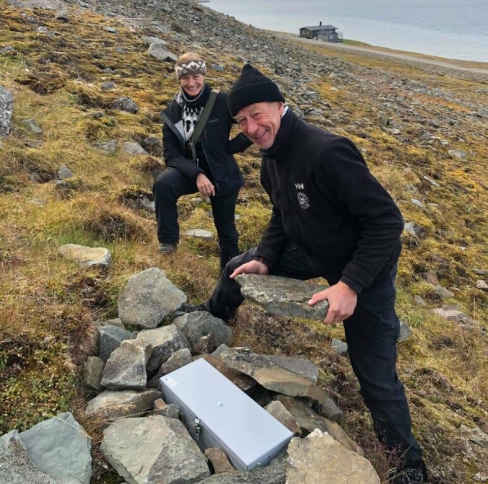 Forskerne Eva Fuglei fra Norsk Polarinstitutt og Rolf Anker Ims fra UiT Norges arktiske universitet under utsetting av kameraer som skal overvåke østmarkmus på Svalbard.