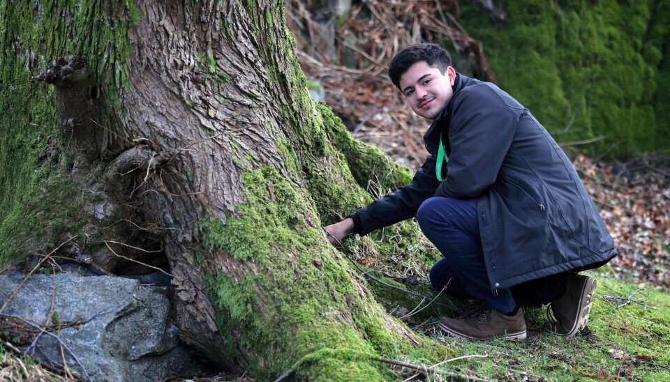 Ein lærarstudent i gang med å utforske natur.