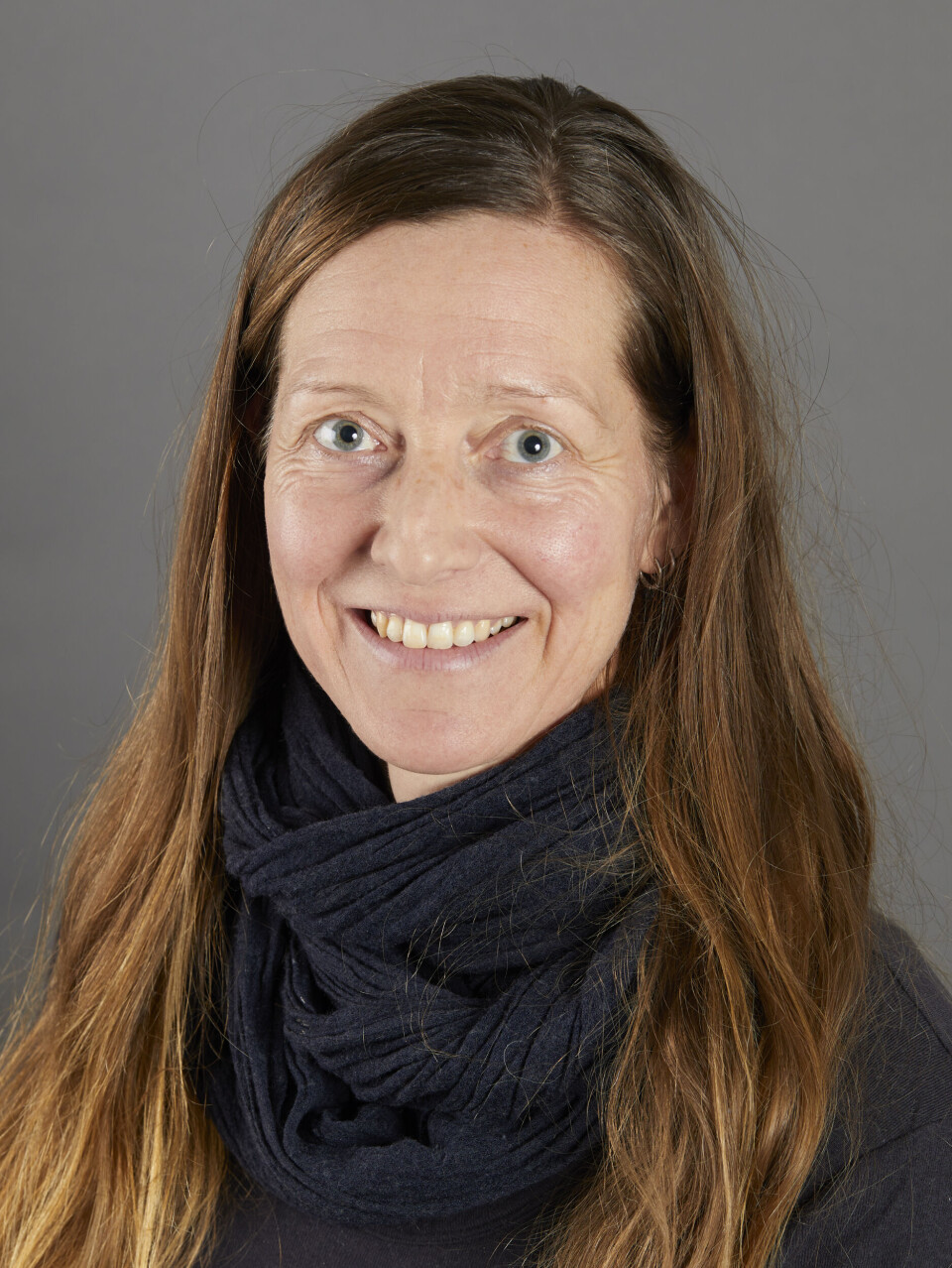 Kunsthistoriker Karoline Kjesrud ved Universitetet i Oslo syns portalen bør ses i lys av for eksempel norske runesteiner.