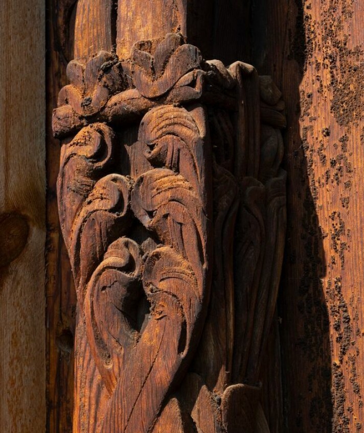 Utskjæringene på Rødvin-portalen kan være laget i god tid før år 1100, mener kunsthistoriker. Detaljbilde av utskjæringer på stavkirkeportal. Utskjæringene forstiller bølgende bladverk.