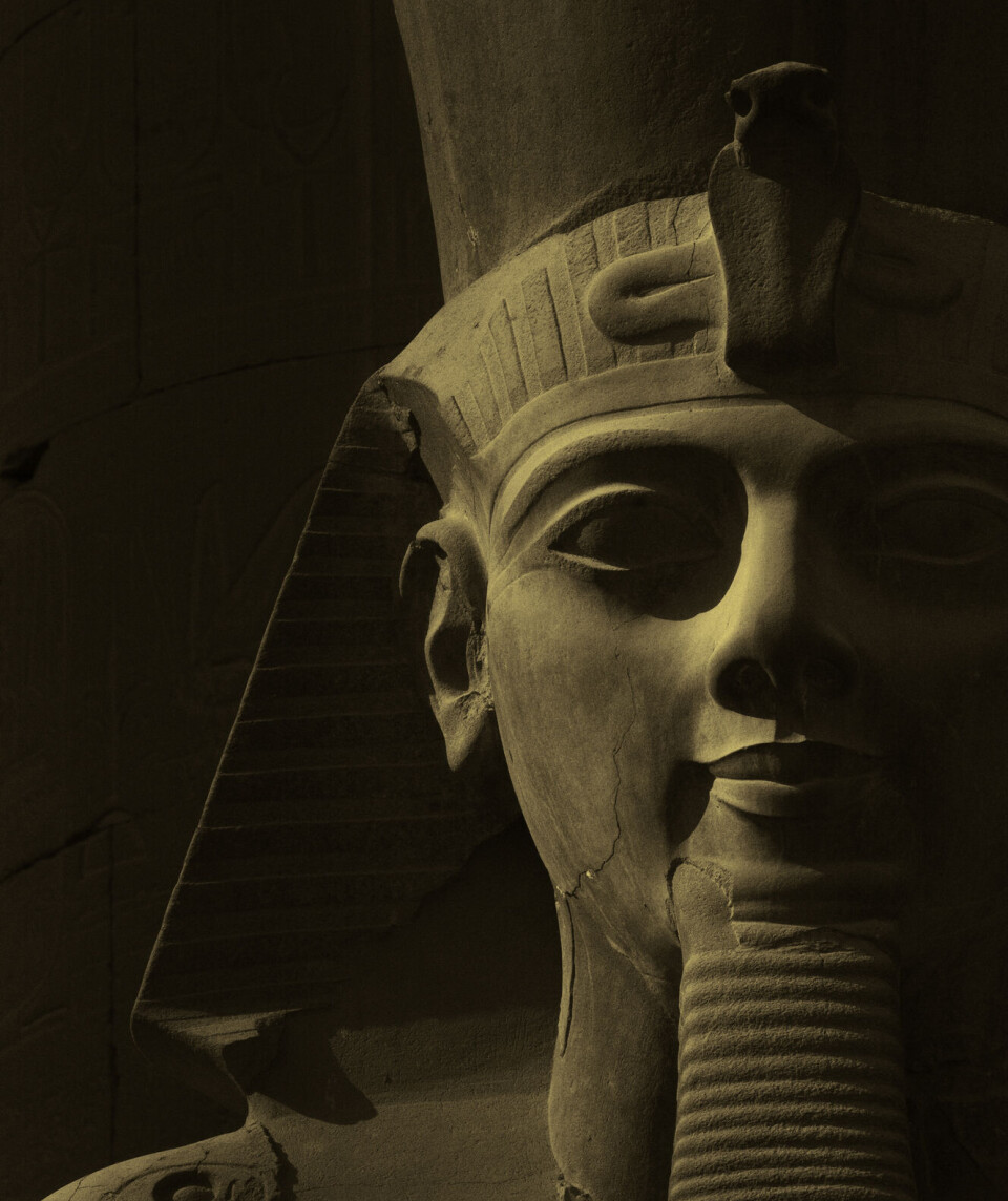 Eksempel på en Hatshepsut-statue som både har uraeusslangen (i pannen) og det kongelige skjegget på haken.