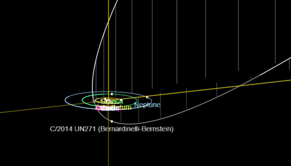 Her kan du se kometens ekstreme bane. De innerste sirklene er planetene i solsystemet, og den hvite banen er kometens vei inn og ut av det nærere solsystemet.