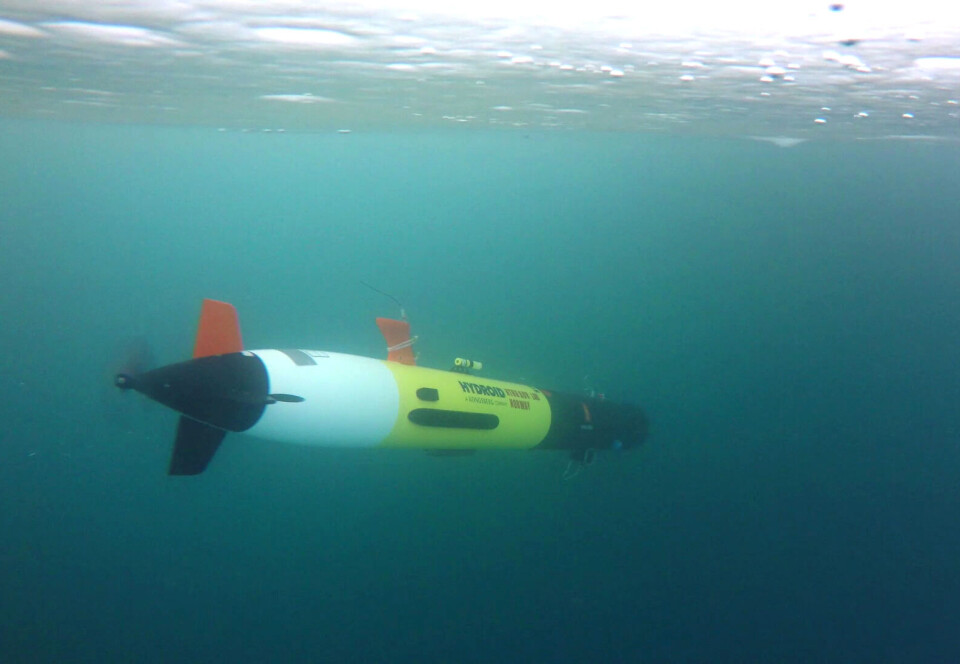 Dette er undervannsrobot – en AUV REMUS – som opererer under isen på Svalbard.