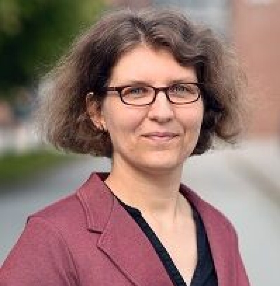 Anne Pintsch er førsteamanuensis ved UiA.