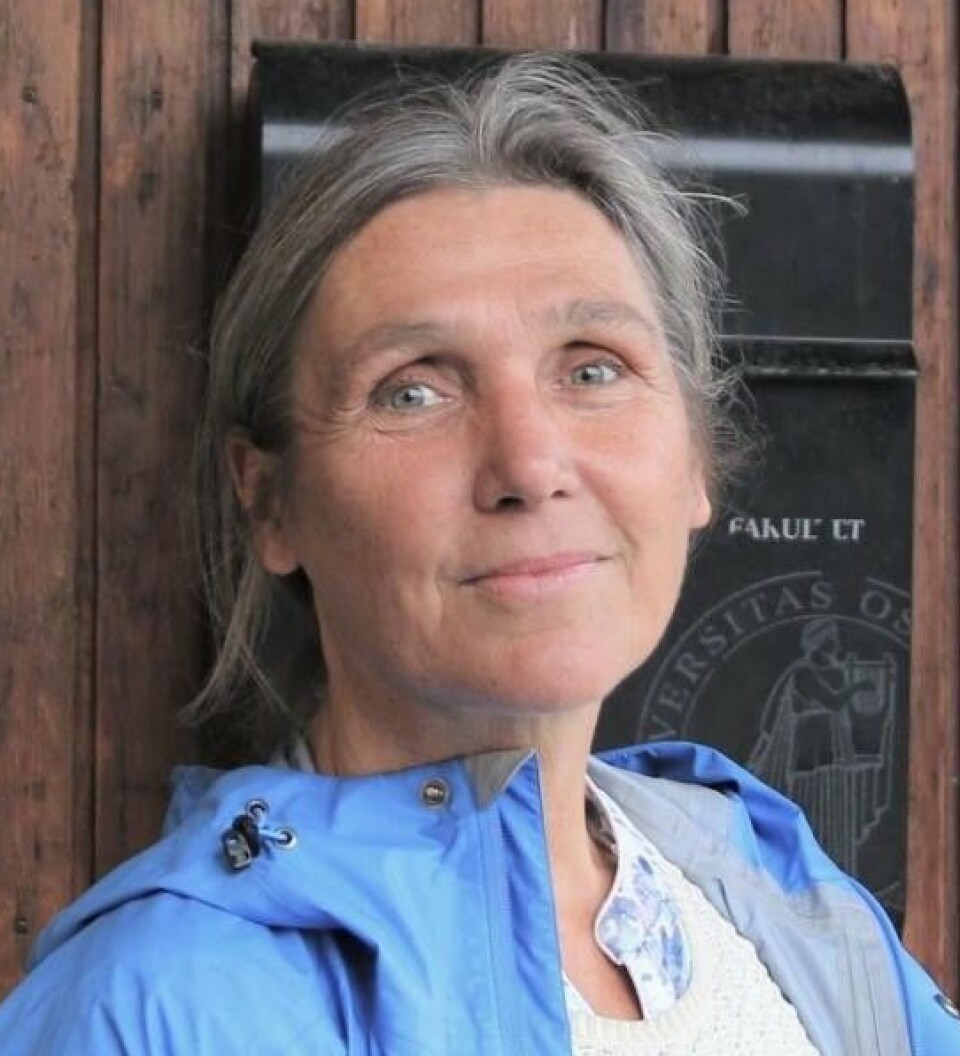 Professor Hilde Sandvik forteller at nordmenn var opptatt av aktuelle politiske spørsmål knyttet til USA.