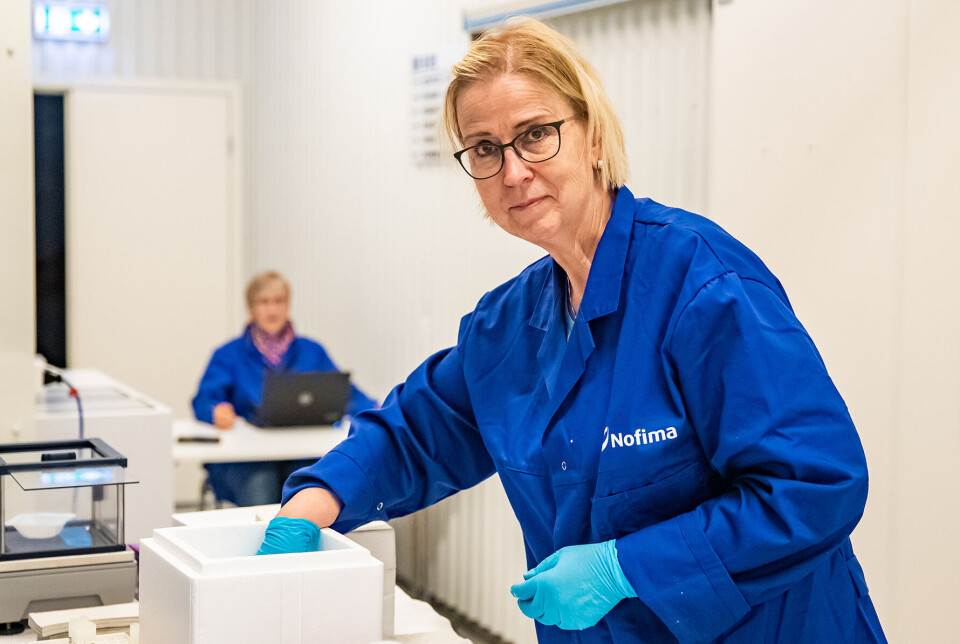 Ingrid Lein har vært ansvarlig for forsøkene der Nofima studerer nyrestein hos regnbueørret.