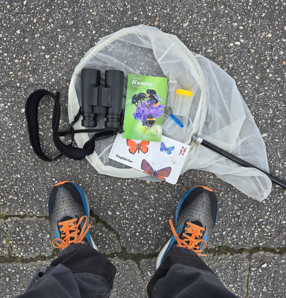 En folkeforsker som skal ut og lete etter insekter må ha med seg riktig utstyr.