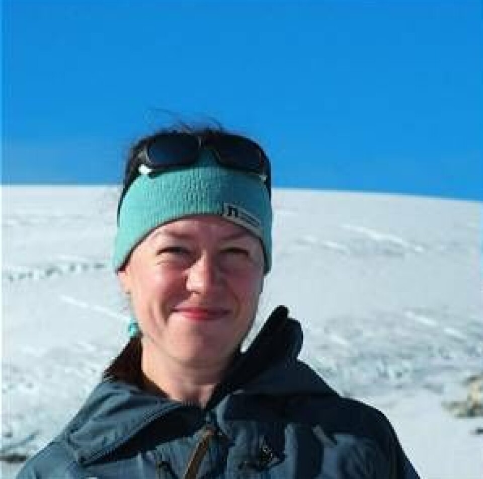 Marthe Gjerde er geolog. Hun studerer spor etter isbreer.