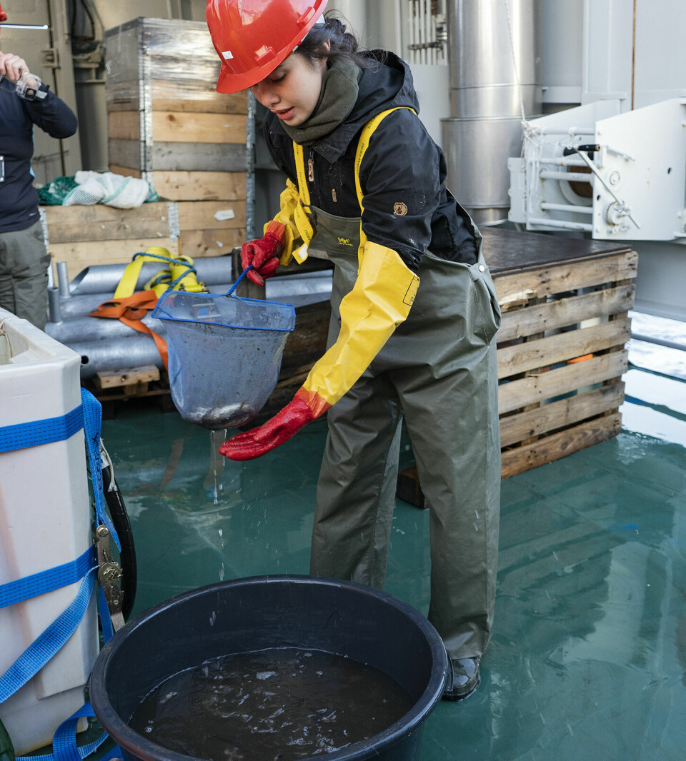 Siv Nam Khang Hoff har doktorgrad på genetiske endringer hos nøkkelarter av fisk i Arktis.