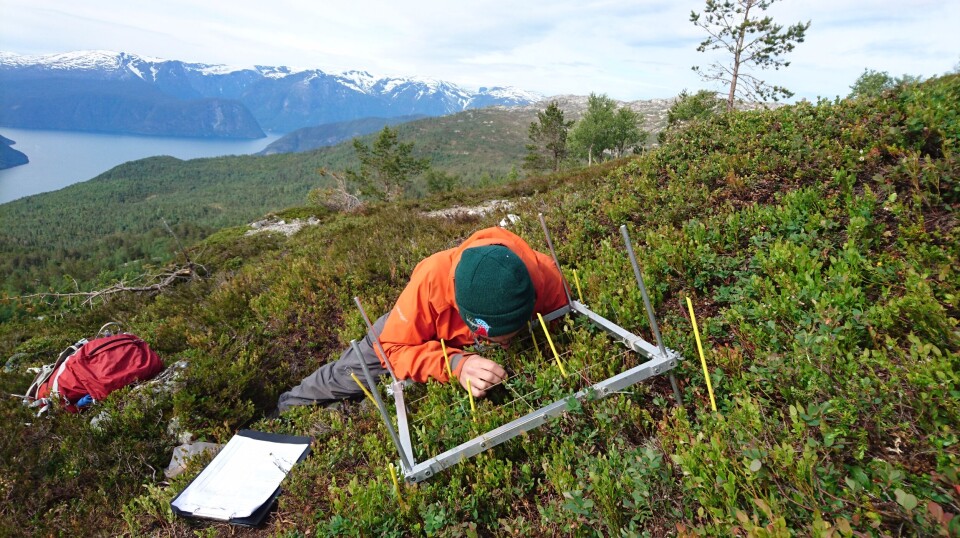 Detaljert og nitidige målingar må til for å finne fram til ny kunnskap om klimapåverknad på den levande naturen.