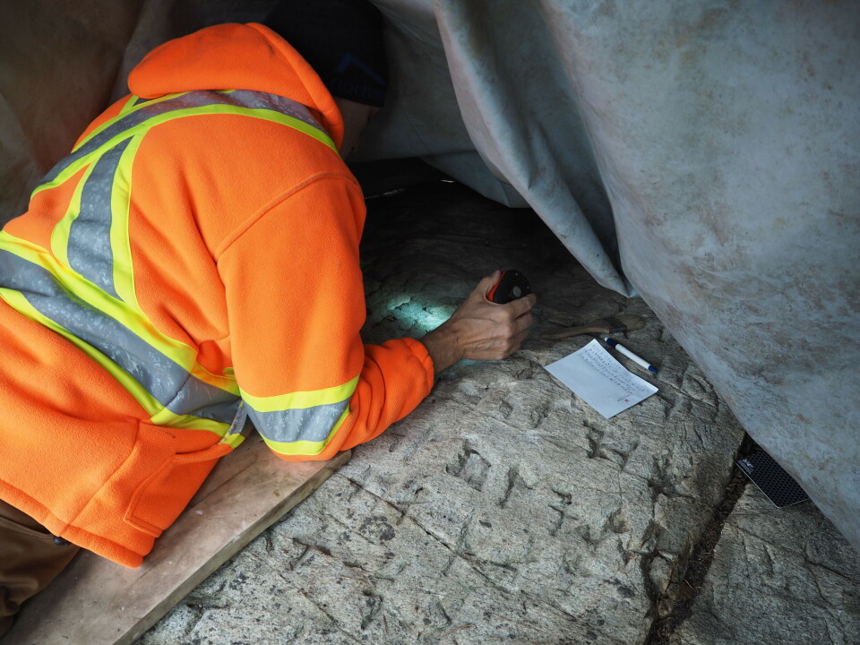 – Jeg hadde aldri trodd jeg skulle støte på en runestein i løpet av karrieren min, sier arkeolog Ryan Primrose ved Ontario Centre for Archaeological Research and Education.