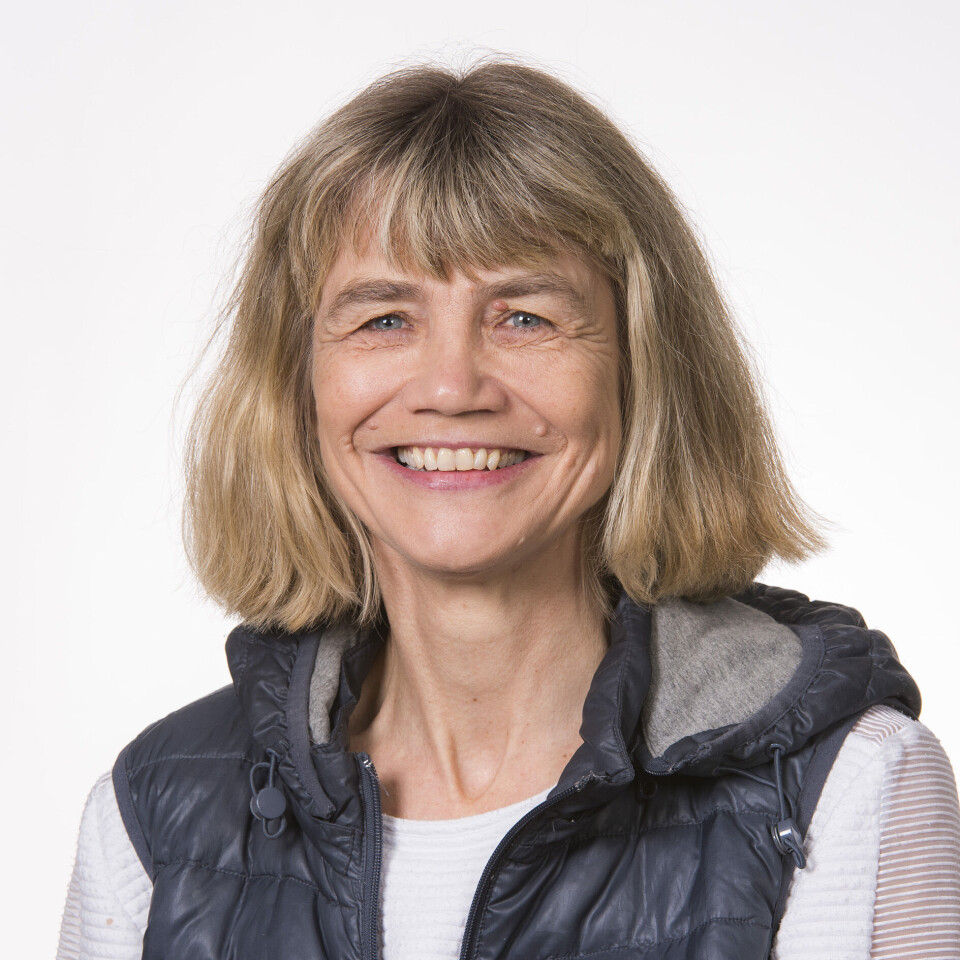 Seniorforsker ved Sintef, Mariann Sandsund, sier at kroppen prøver å kjøle seg ned når den utsettes for varme. Ved en hetebølge jobber kroppen enda hardere ved å kjøle seg ned.