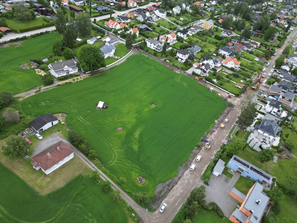 Under det lille, hvite teltet har arkeologer nå gravd frem fysiske bevis på Hamarkaupangen, i form av et laftet hus med vegger og gulv.