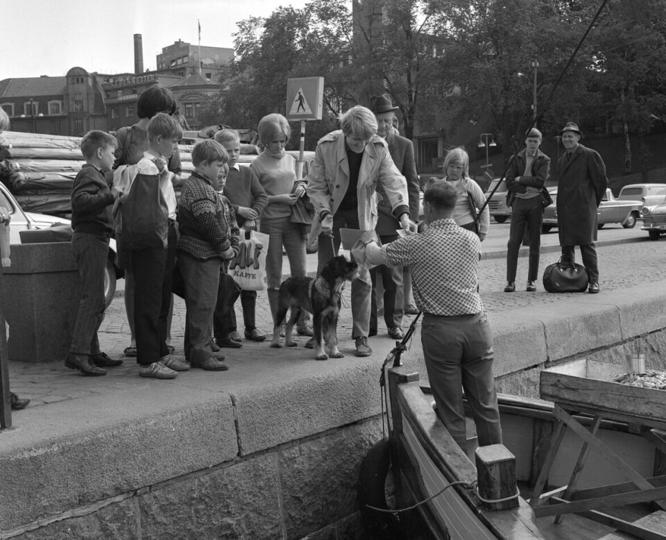 Reker å få kjøpt rett fra båten på Honnørbrygga i Oslo omkring 1968.