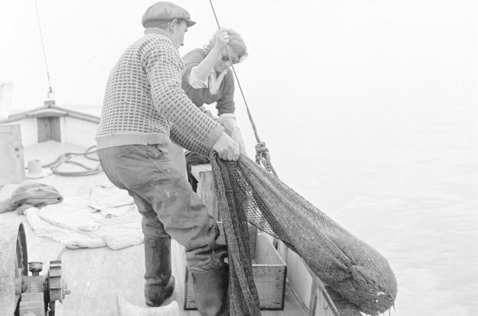 En trål med reker på vei opp i Son i 1961.