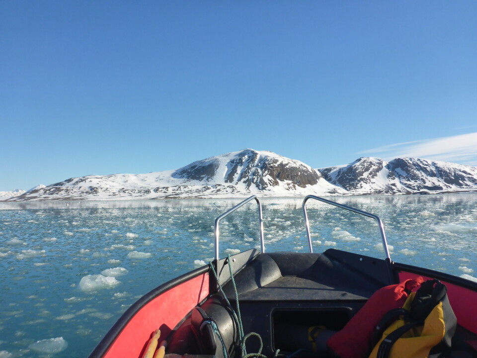 Feltarbeidet ble utført i Kongsfjorden på Svalbard sommeren 2021.