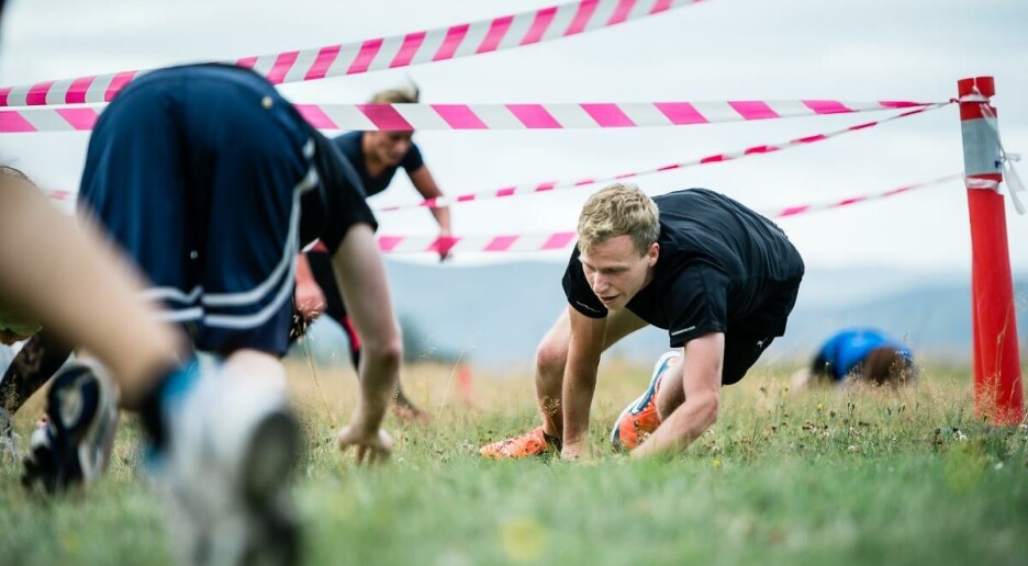 Dette gjør lyset med deg og andre dyr om sommeren