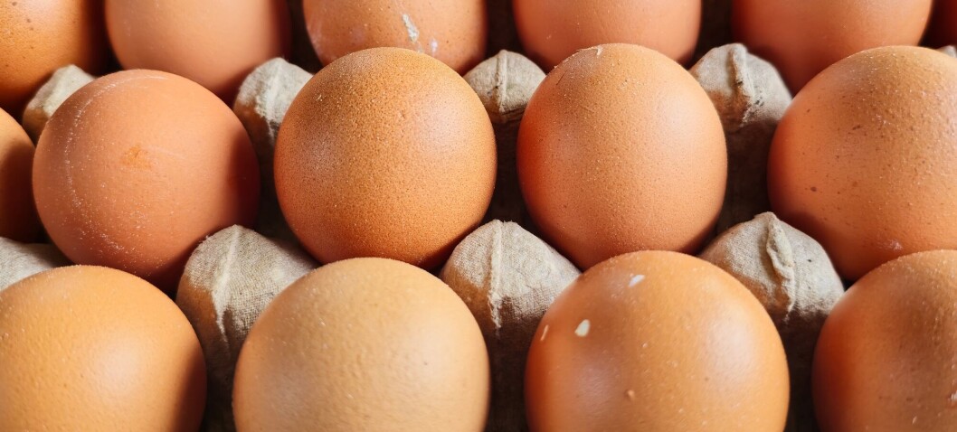 Hvordan er det egentlig best å oppbevare egg?