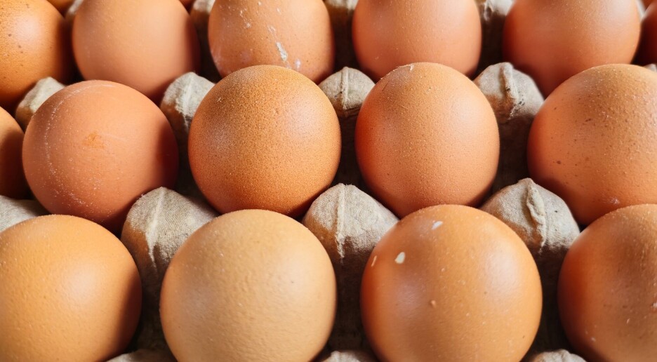 Hvordan er det egentlig best å oppbevare egg?