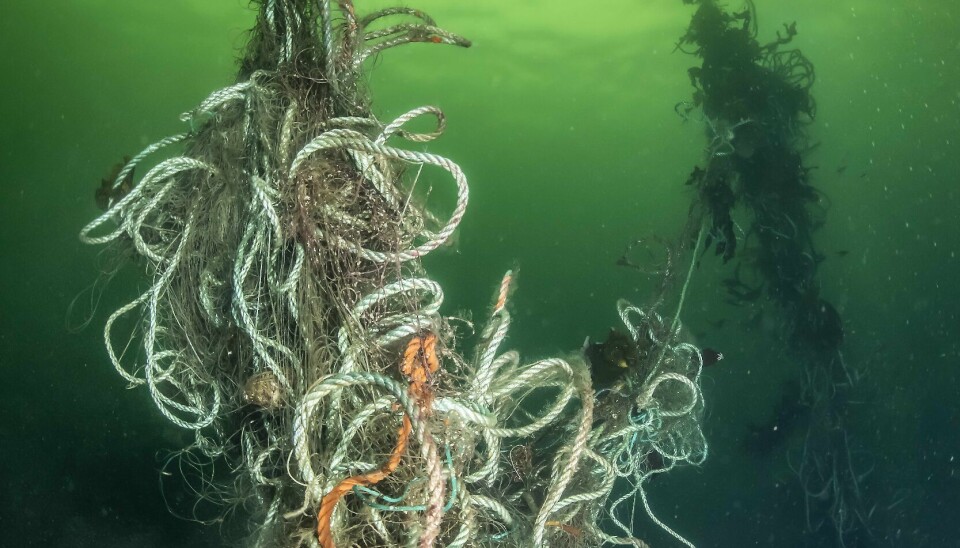 Tapt fiskeutstyr forsøpler og fortsetter å fiske. Kan det være en løsning å bytte til materialer som brytes ned over tid?