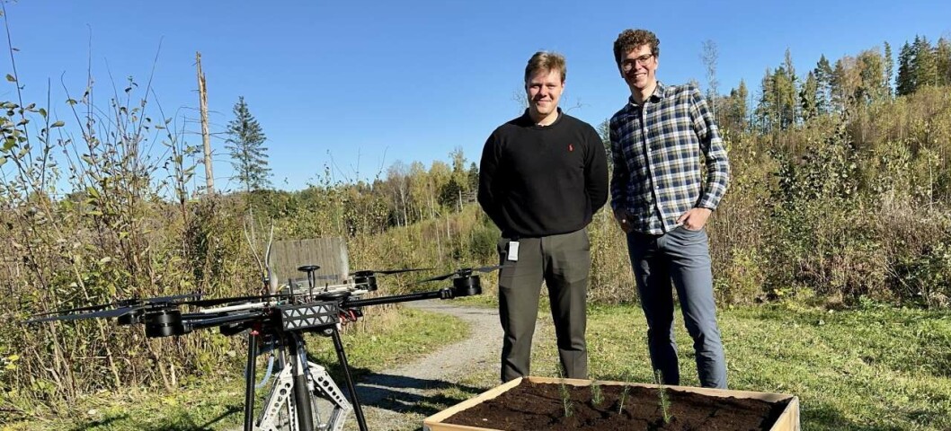 Kan plantedroner erstatte manuell skogplanting?
