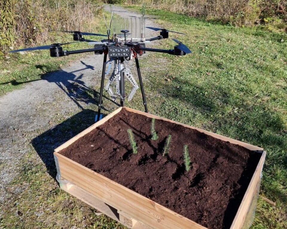 Skogplantedronen SkyPlanter er resultatet av et samarbeid mellom NIBIO og Syddanske Universitet (SDU).