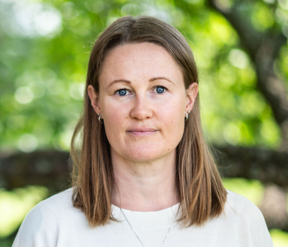 Klimaforsker Karianne Ødemark.