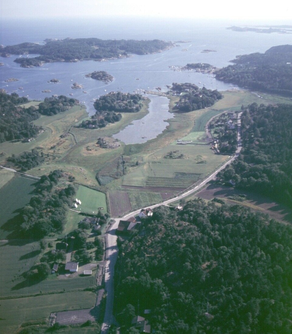 Her var det liv og røre under vikingtiden. Bilde av Kaupang utenfor Larvik, tatt av Dagfinn Skre, som ledet utgravingene her fra 2000-2002.
