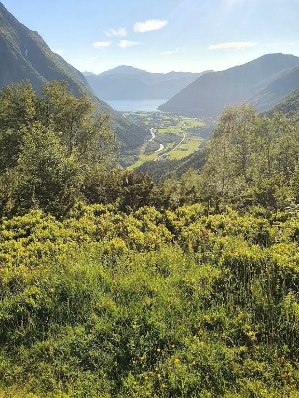 Stordal i Fjord kommune på Sunnmøre er ei av bygdene der ein har bevart kveikgjær.