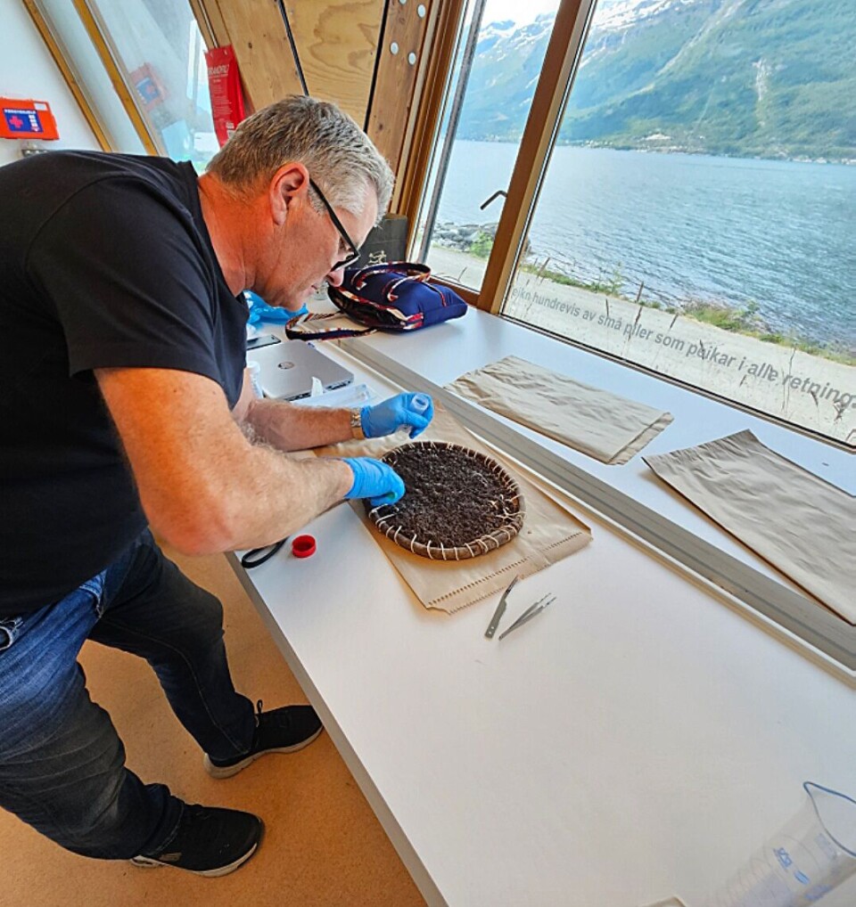 Forskar Hans Geir Eiken pirkar gjærbøs ut or ein gjærkrans av fletta hestehår.