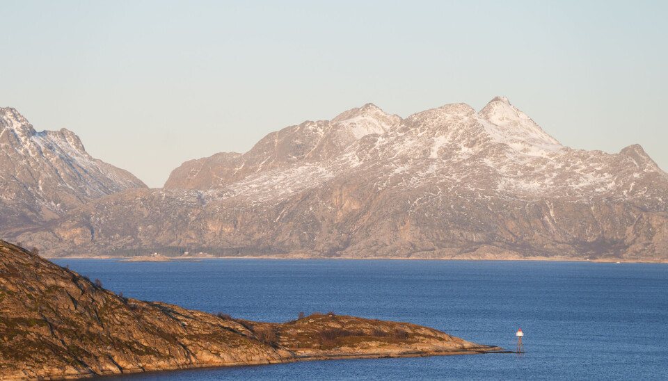 Med verdens nest lengste kystlinje er kysten i Norge hjemmet til mye liv. Kysten i Bodø. Med fjell i bakgrunn.