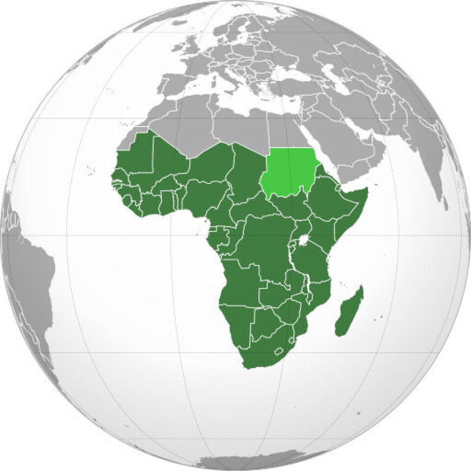 De grønne feltene viser land som ligger sør for Sahara-ørkenen i Afrika. Det er her perlehønsene hører hjemme. Kart over Afrika, med grønne felt som viser land sør for Sahara.