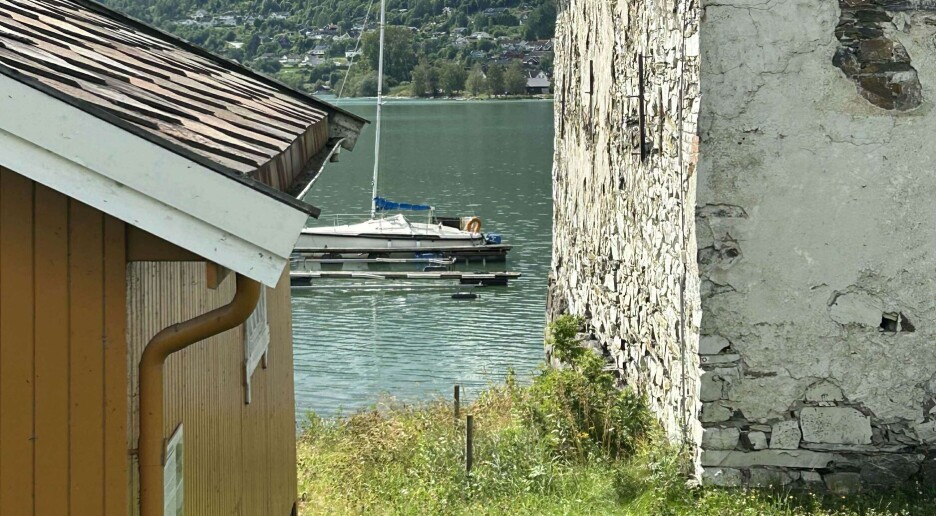 Hvorfor er Mjøsa så grønn denne sommeren? / Plutselig ble Mjøsa grønn