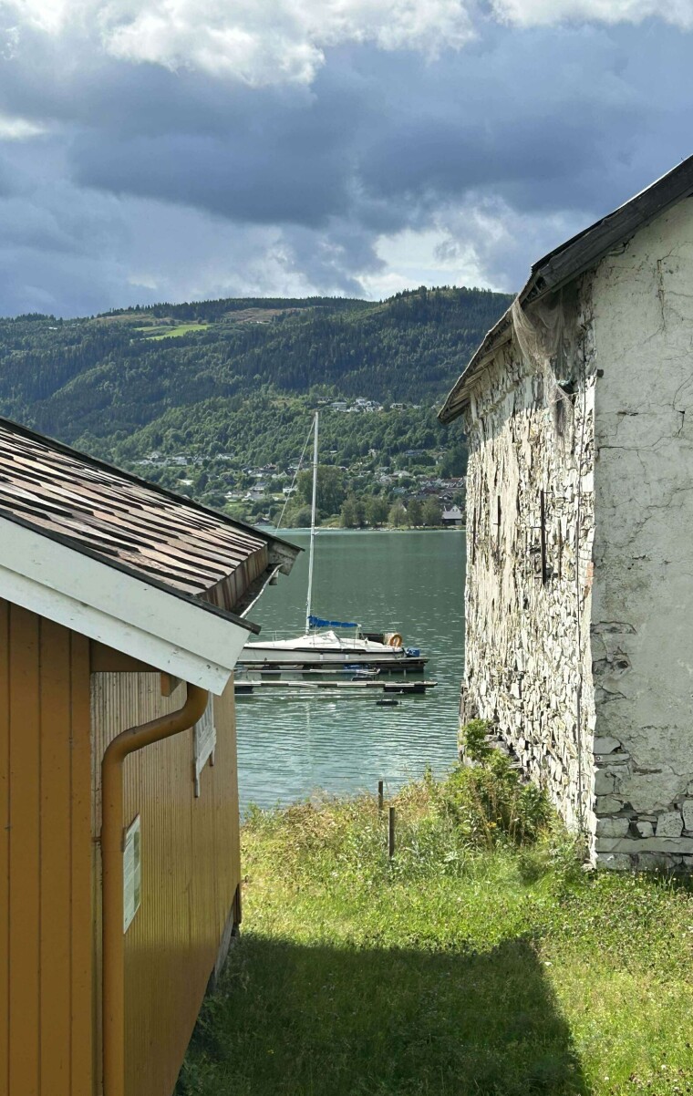 Plutselig ble Mjøsa grønn